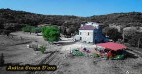  Antica Conca D'oro  Ольястро-Чиленто